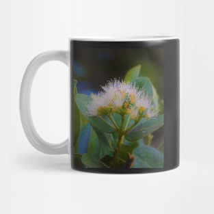 Eucalyptus flower Mug